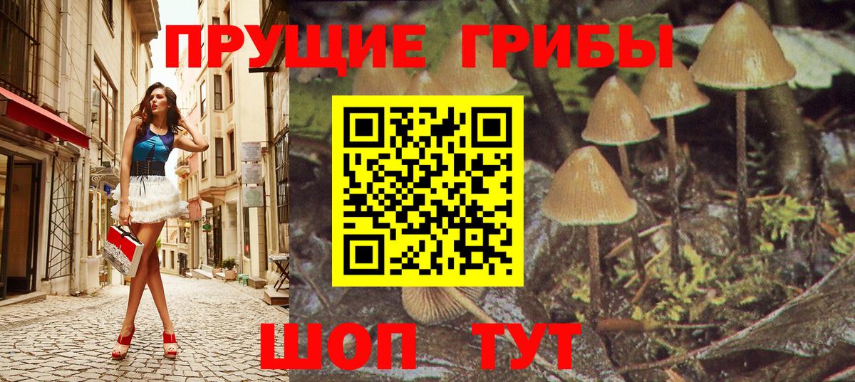 Соль-Илецк  Псилоцибиновые грибы прущие грибы  Псилоцибиновые грибы Cubensis  Вход с VPN 